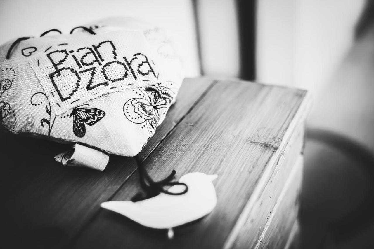 Cà 'd Langa B&B Treiso Ngoại thất bức ảnh